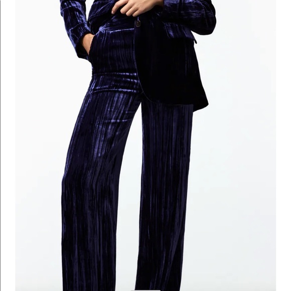 Zara Pants - NWT: Zara deep blue wide leg velvet pants: XS